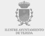 Ilustre Ayuntamiento de Tejeda