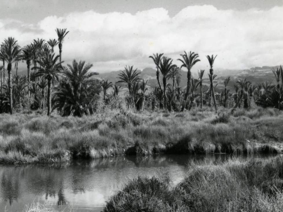 Impacto del turismo en el paisaje canario